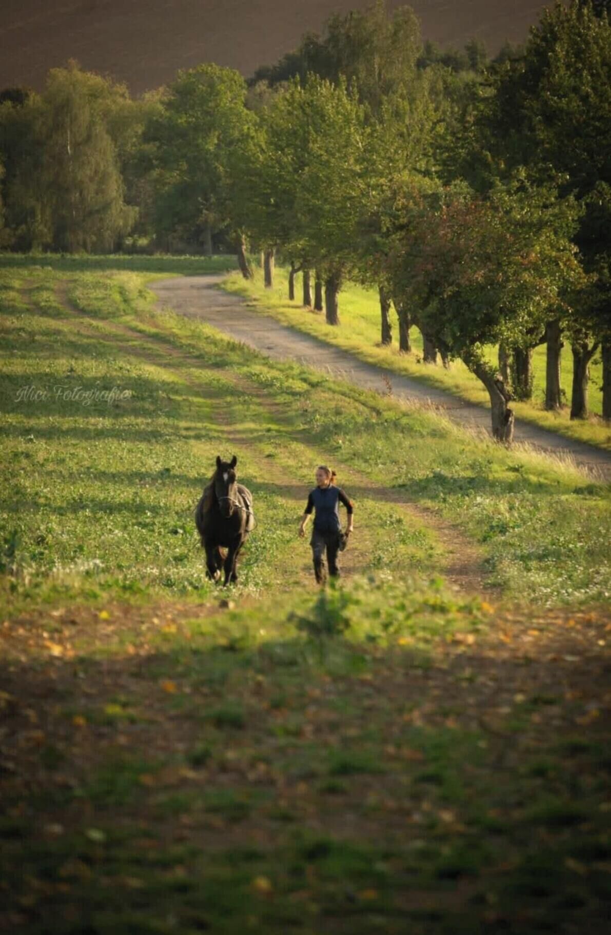 Apartment | Blick von der Unterkunft