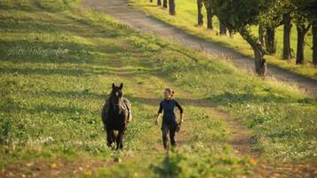 Apartment | Blick von der Unterkunft