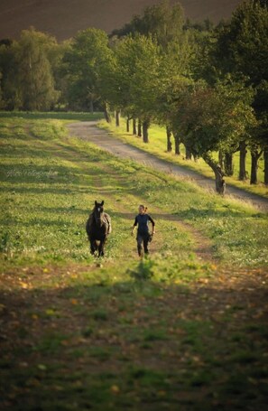 Lejlighed | Udsigt fra overnatningsstedet
