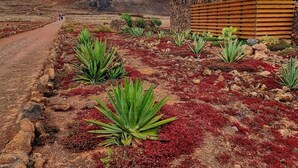Paisatge desert amb un camí de terra, vegetació vermella i verda, i una muntanya al fons.