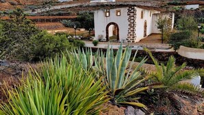 A traditional building with a stone facade, an arched entrance, and a small courtyard with agave plants. - Air-conditioned apartment with 4 community pools - Corralejo - Pools view (Corralejo)