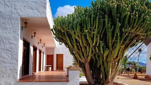 A white building with a large cactus in front. - Air-conditioned apartment with 4 community pools - Corralejo - Pools view (Corralejo)