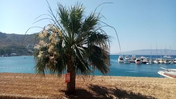 Khác