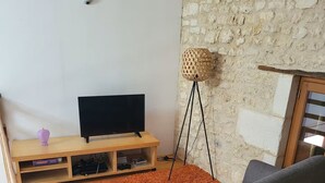 A living room with a TV on a wooden stand, a grey sofa, an orange shag rug, and a stone wall. - Charentais country house surrounded by vineyards with heated swimming pool (Mosnac)
