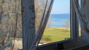 A window with a view of a grassy area and a body of water.