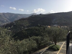 Property grounds - De Vivo Realty - Il Casale del Mirto (Vico Equense)