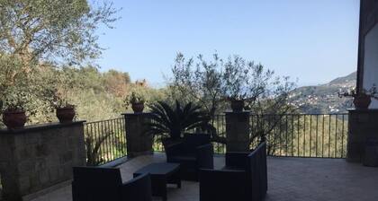 De Vivo Realty - Il Casale del Mirto