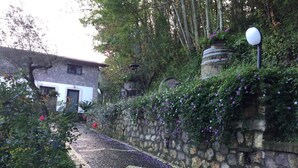 A cobblestone pathway leading to a stone wall with a lamp post.