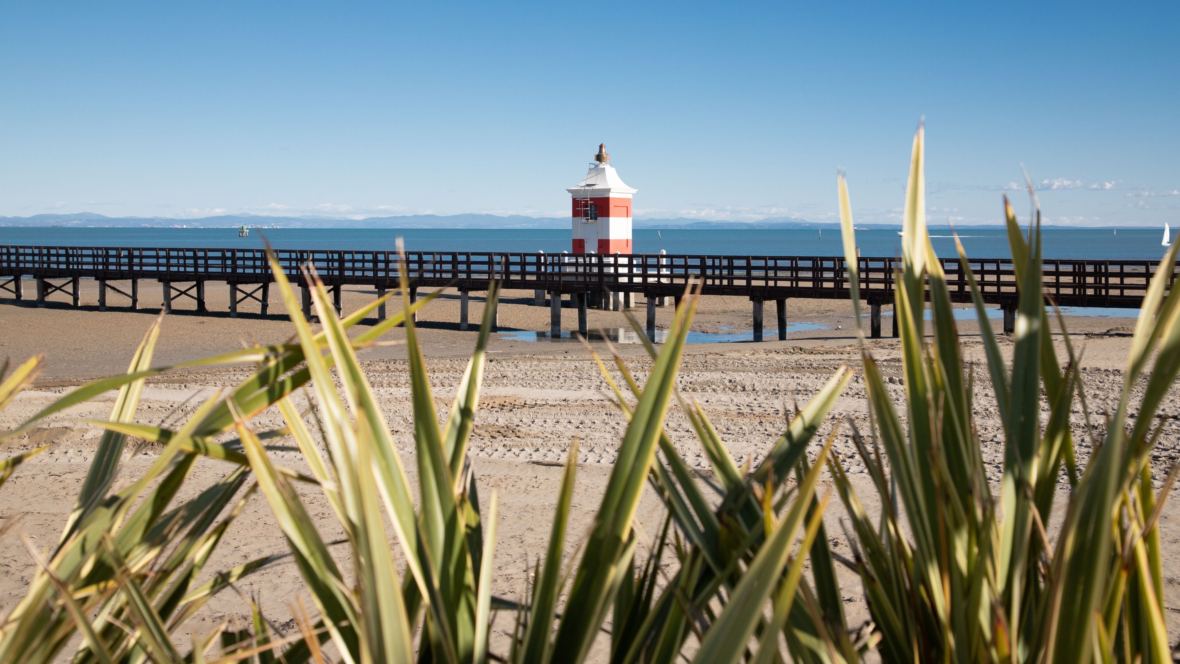 Apartment, 1 Bedroom, Balcony, Ocean View | Beach