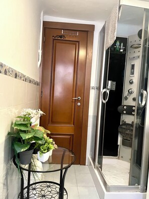 Regadera, secadora de cabello, bidet, toallas 