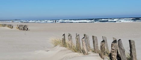On the beach