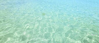 Walk to the Beach - Stylish Waterfront Gateway