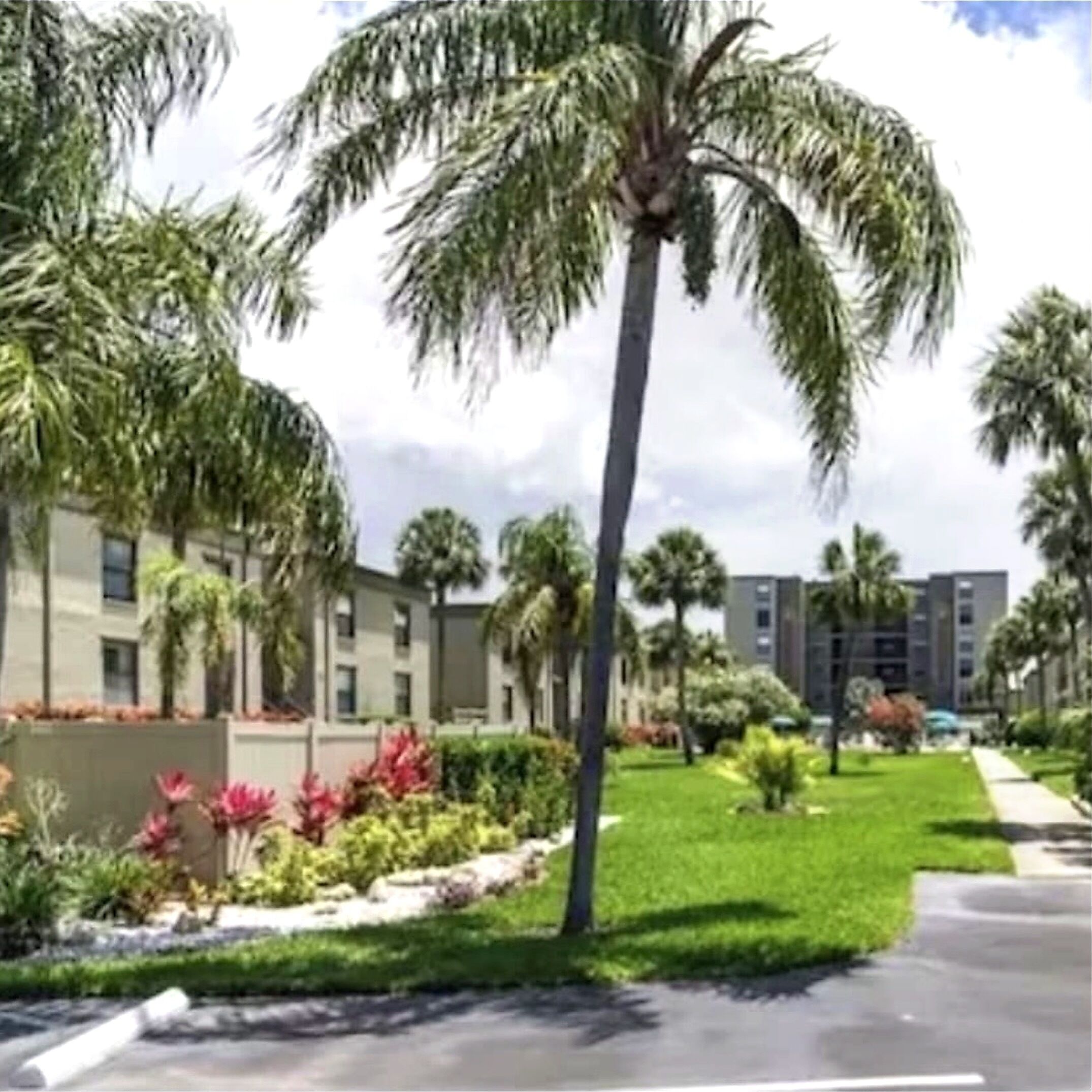 Una zona residenziale con palme, un prato e un edificio con diverse finestre.