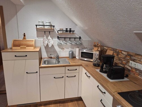 Vacation apartment in the Ore Mountains near Seiffen