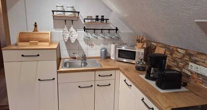 Vacation apartment in the Ore Mountains near Seiffen