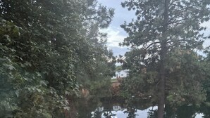 A tennis court with a water body and trees in the background. - WATERFRONT PARADISE (Spokane)