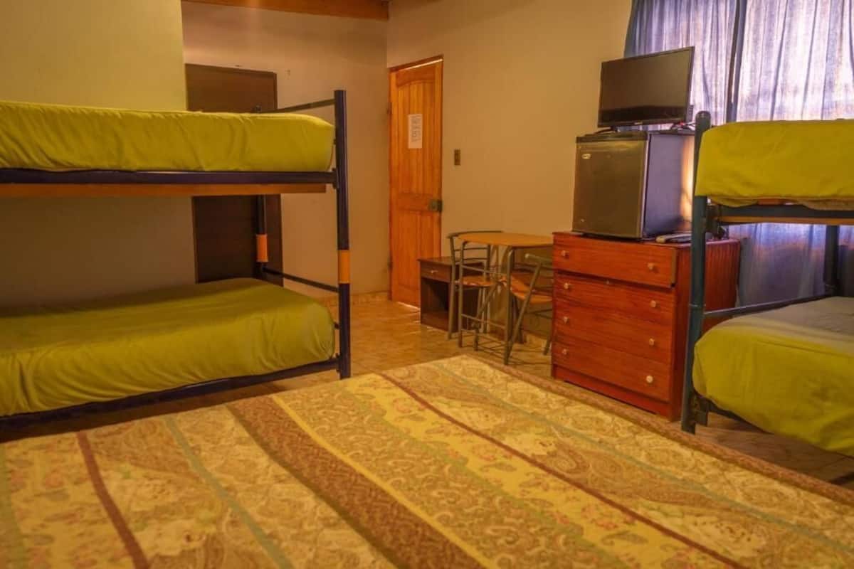 A room with bunk beds, a television, a wooden dresser, and a patterned rug.