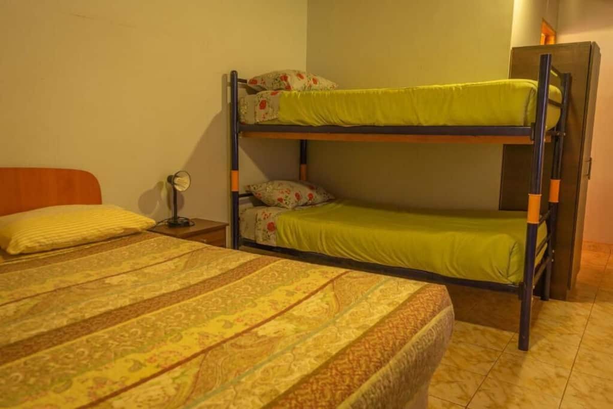 A bunk bed with green bedding, a patterned bedspread, and a nightstand with a lamp.