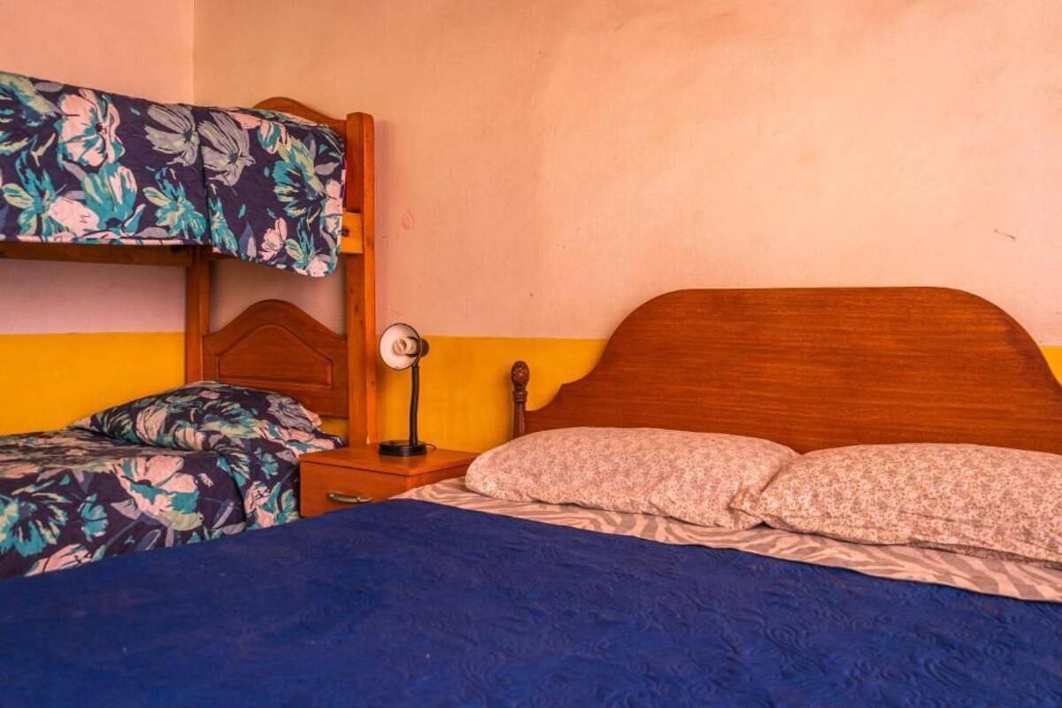 A bunk bed with floral bedding, a bedside table with a lamp, and a single bed with patterned pillows.