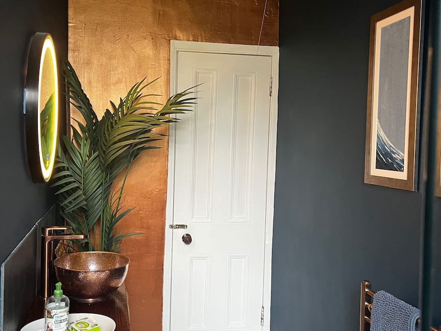 A hallway with a white door, a plant, a mirror, a framed picture, and a towel rack.