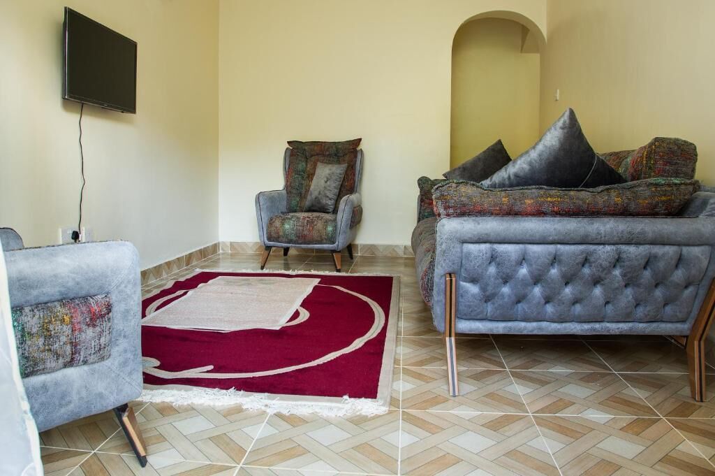 Una sala de estar con un sofá gris, un sillón estampado y una alfombra roja.