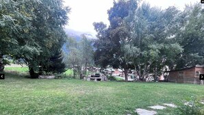 A grassy backyard with trees, a wooden structure, and a stone pathway.