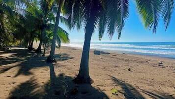 Chaises longues, serviettes de plage