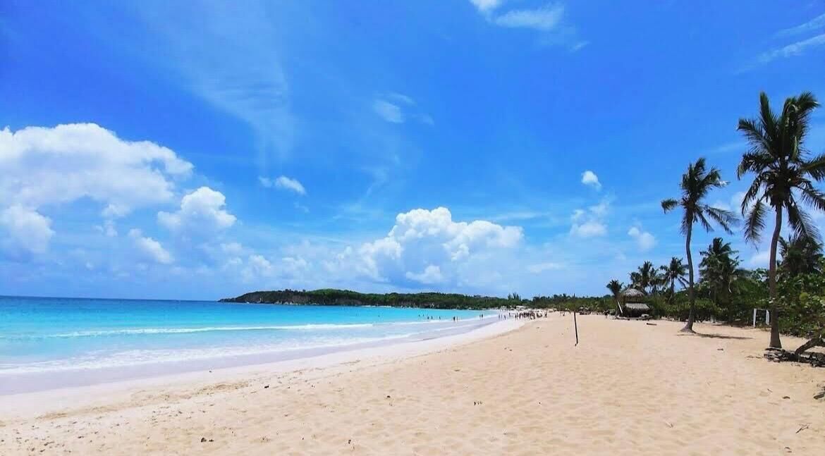 Comfort Suite, Ocean View | Beach | Beach nearby, white sand, beach umbrellas, beach massages