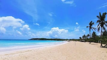 Comfort Suite, Ocean View | Beach | Beach nearby, white sand, beach umbrellas, beach massages
