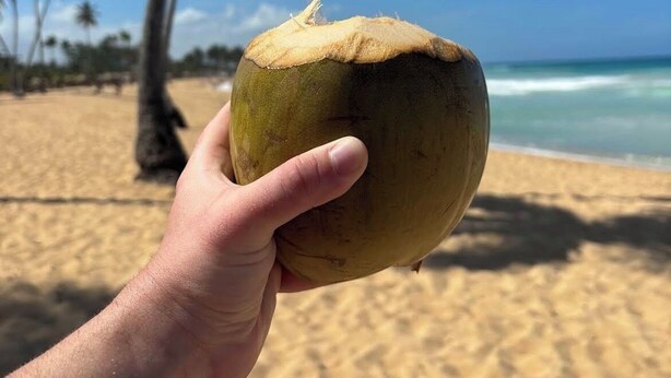 Una mano sosteniendo un coco con una pajita, palmeras y una playa al fondo.
