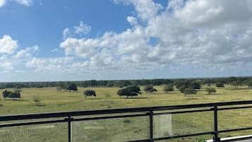 Comfort Suite, Ocean View | Property grounds