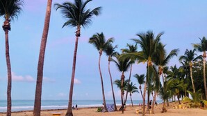 Une plage bordée de palmiers et dotée d’un rivage sablonneux.