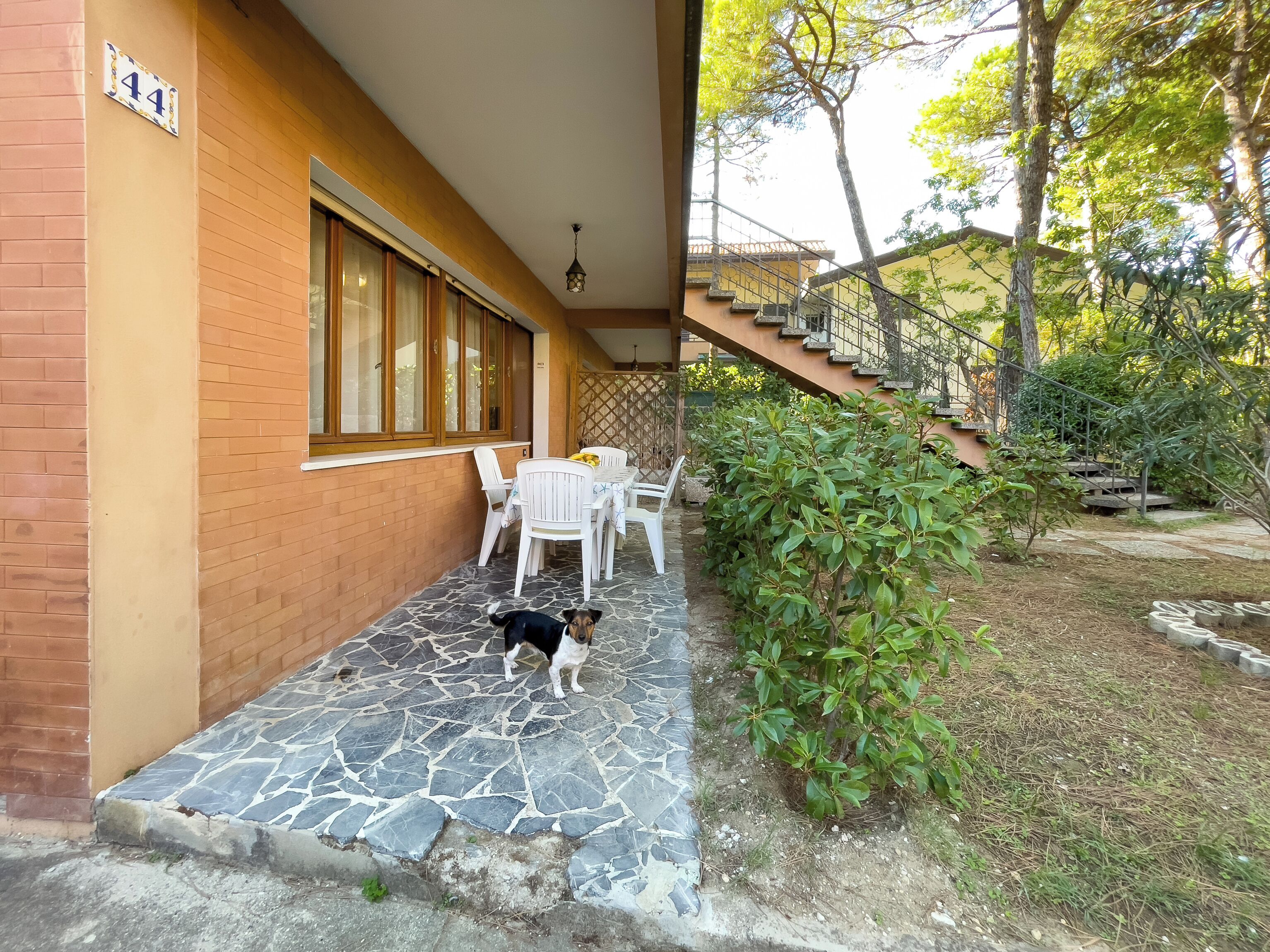 Terrasse/patio