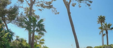 Alberca