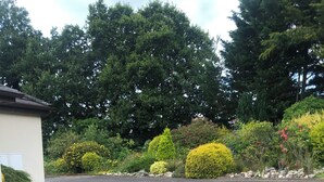 A paved driveway leading to a building with a stone pathway. - Fantastic bungalow in quiet rural setting close to Enniscorthy town. Sleeps 6. (Enniscorthy)