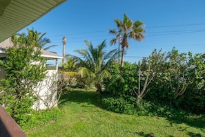 A residential area with a house, palm trees, and a grassy yard.