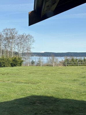 Property grounds - Ocean View Retreat on 2 Private Acres in Port McNeill (Mount Waddington C)