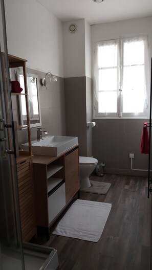 Hair dryer, towels, toilet paper - Large town house located in the heart of Saint-Aignan. (Saint-Aignan)