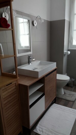 Hair dryer, towels, toilet paper - Large town house located in the heart of Saint-Aignan. (Saint-Aignan)