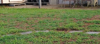 Nice 1-bedroom house with AC/heat in charming Greenwood near Caverns State Park