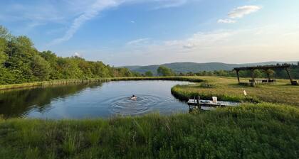 Tremendous 4-bedroom farmhouse with AC, Sauna and 90acres in charming Roscoe