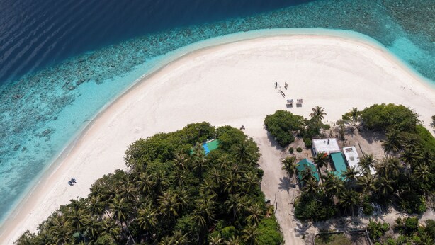 An aerial view of a beach with clear turquoise waters, a sandy shore, and dense palm trees. - Silver Bay Kamadhoo (Kamadhoo)