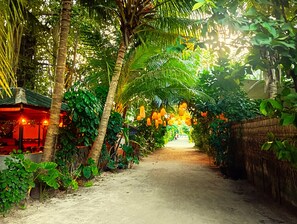 A pathway lined with palm trees and hanging lanterns, leading to a building with a thatched roof.