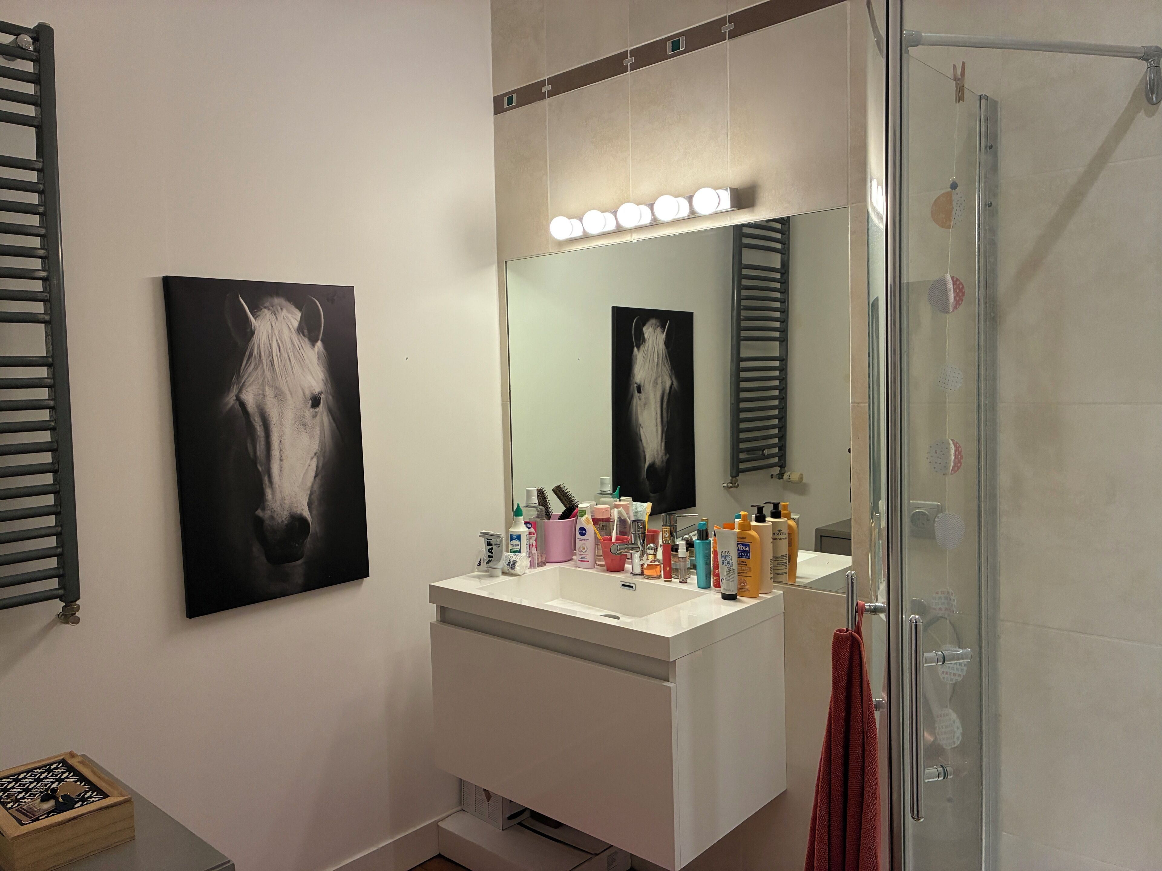 Douche, sèche-cheveux, serviettes fournies, savon