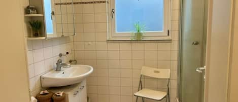 Secadora de cabello, toallas, jabón, papel de baño
