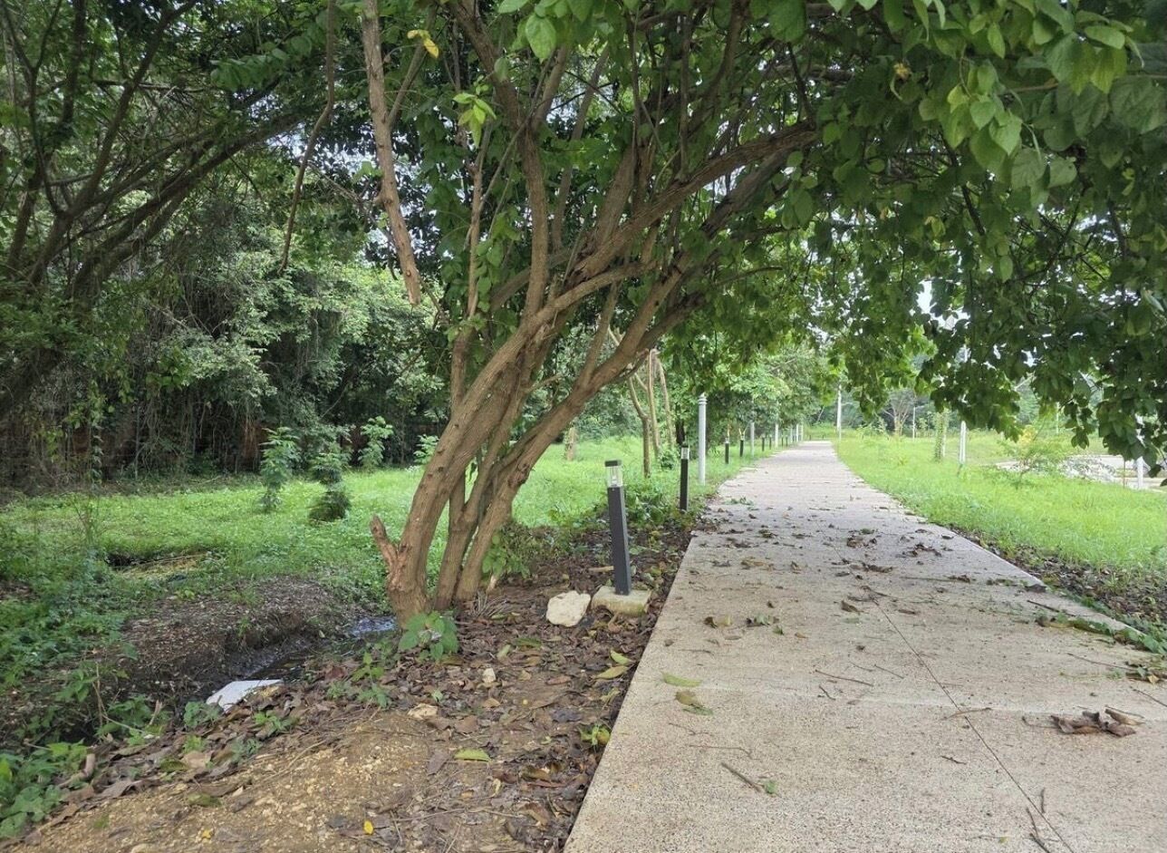 Terrein van de accommodatie