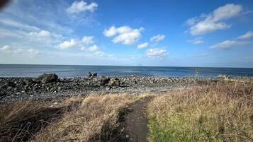 Mobile Home, 2 Bedrooms, Patio | Beach