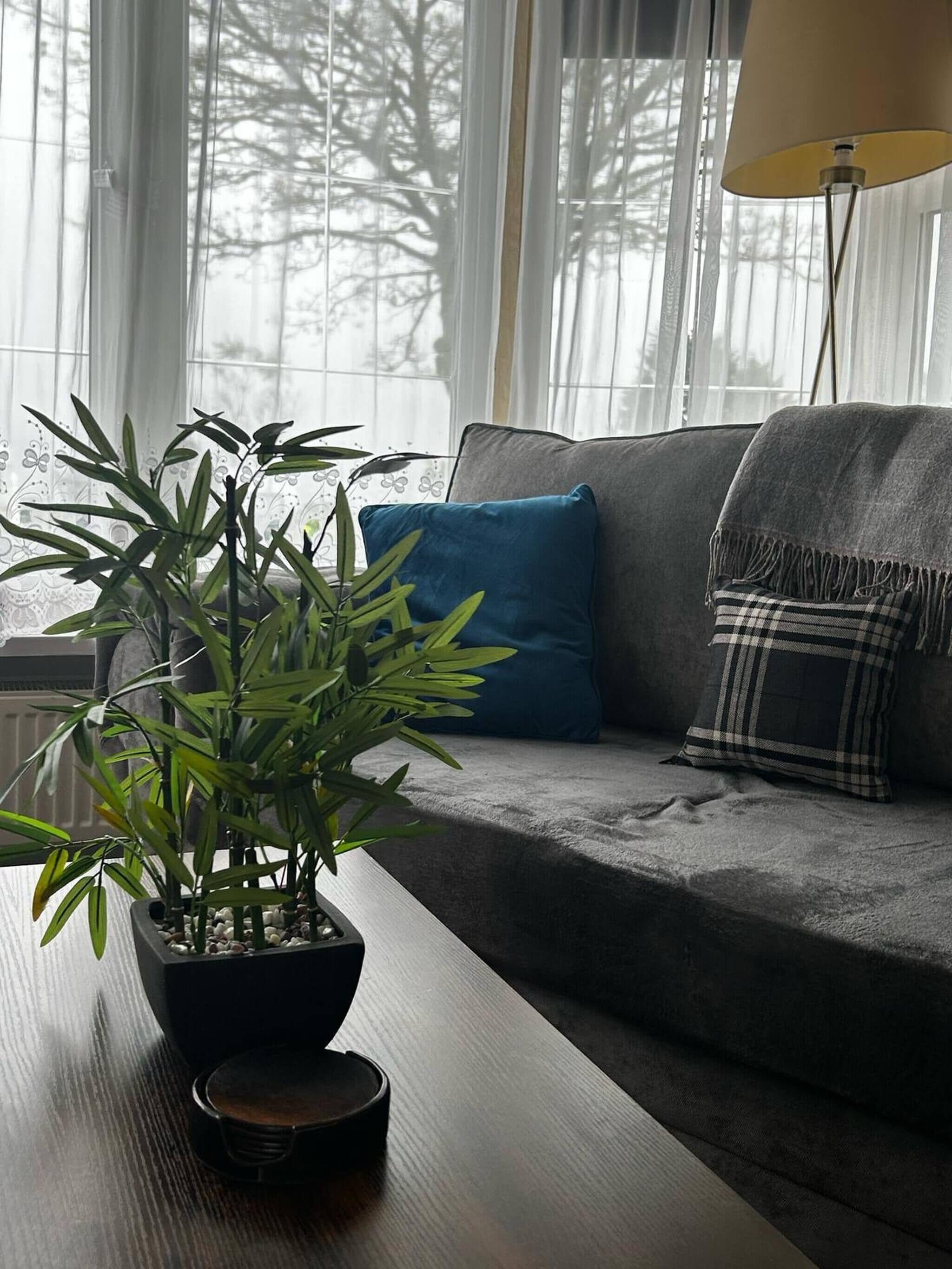 منطقة المعيشة