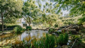 Ein friedlicher Garten mit Teich, üppiger Vegetation und einem modernen Gebäude im Hintergrund.