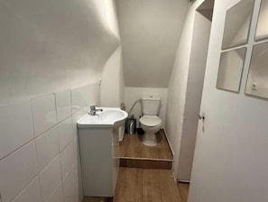 Secadora de cabello, toallas, papel de baño 